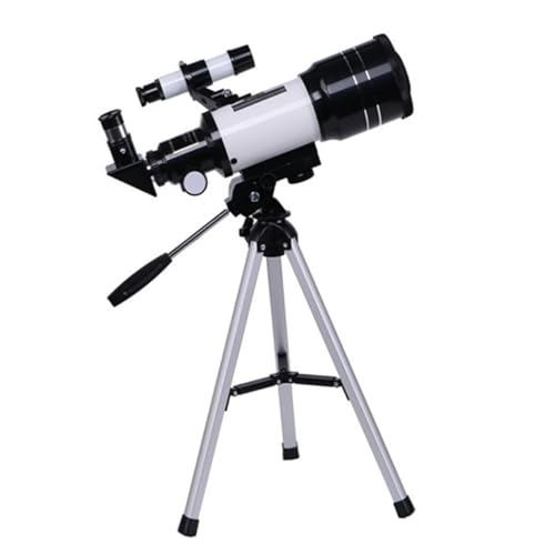 Homoyoyo aœ_ V] ܎邢wY yʃA~Ort SҌgь^ϑ