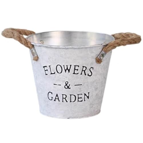 Seaux de fleurs en fer pour plantes succulentes (5 pièces) - 2