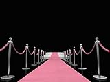 rosa Teppich Generisch rosa Teppich / VIP Teppich / Empfangsteppich / Hochzeitsteppich / Teppichläufer / Läufer / Messeteppich (1,2 x 10 m)