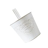Pendentif suspendu à la maison: le pot de fleurs suspendu est fait d'un bon matériau pour une utilisation de longue durée et durable, jardinière murale suspendue