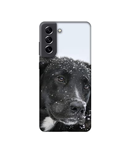 Image of Amazon Brand-Solimo Basic Case for Samsung Galaxy S21 FE 5G (Plastic Multicolor)