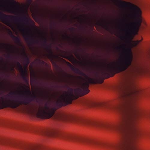 See You (feat. Keasha & Zay Smalls)