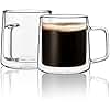 CNGLASS Glass Coffee Mugs 300ml,Double Wall Insulated Glass Mugs with Handle,Clear Espresso Mugs for Latte,Cappuccino,Tea Bag,Set of 2