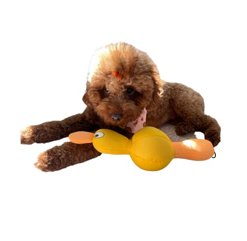 Billipets Floating Dog Toys Duck. Durable and Tough Colorful Neoprene Dog Toy. Ideal for Water War, Interactive Game of Tug and Fetch, Size: 30cm - Image 5