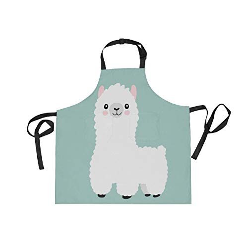 MASAI Gv r  u[  킢 \ ₷ ɂȂɂ jp