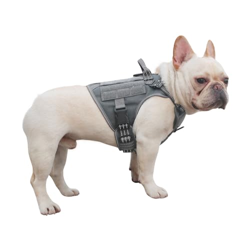 ICEFANG GN1 Reflective Tactical Dog Harness Small Sized, MOLLE K9 Dog Vest with 2X Metal Buckles,Adjustable Pet Harness, No Pulling Front Leash Clip (Small (Pack of 1), Grey)