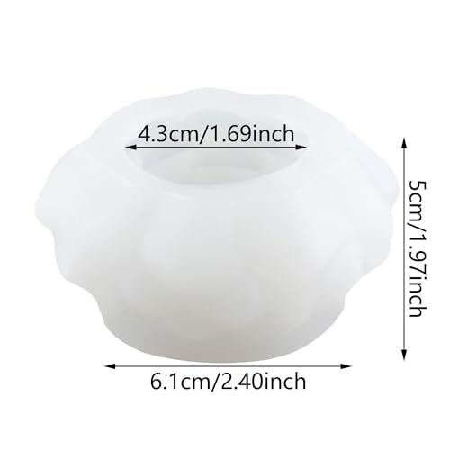 Review de Comprar suculentas los 10 mejores. 13 Imagen adicional
