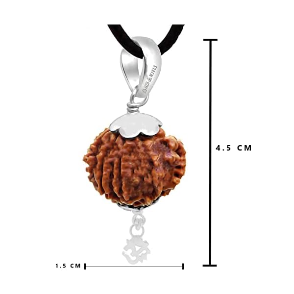 Njels™ 925 Hallmarked Handmade Dual Wire Silver Rudraksha Rakhi for Brother Silver Bracelet for Men with Extension Chain | Rakhi for Brother (6.5 MM Natural Beads) (Brown Colour) - Image 6