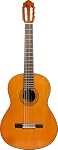 Yamaha C40II 6 String Beginner Classical Guitar, Nylon Strings, Natural Finish, Right-handed, Full Size, Spruce Top