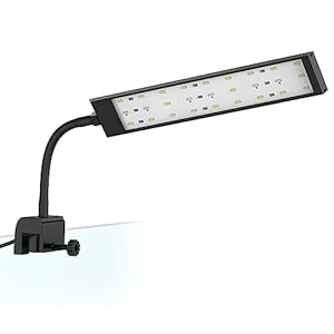 NICREW Fish Tank Clip on Light, Clamp Aquarium Light with White and Blue LEDs, 480LM, 10 Watts