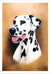 Dalmatian Fine Art Blank Greeting Card
