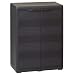 Wakects - Armadio da giardino per attrezzi con 1 ripiano ventilato regolabile, armadio da esterno con 2 ante Armadio in polipropilene, robusto, facile da montare, 65 x 38 x 87 cm, colore: Nero
