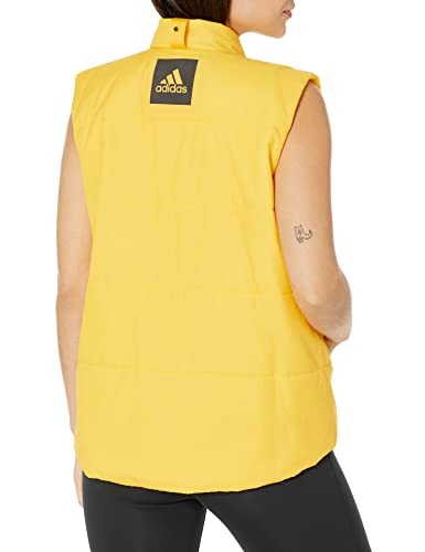 adidas outdoor Women's CG2456, Legend Earth, L