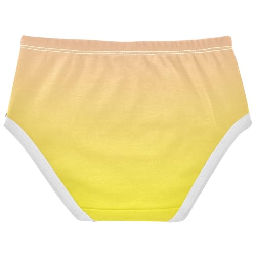 Joisal Blush Pink Yellow Gradient Toddler Underwear Floral 2t Cotton Panties Little Girl Durable Underpants Briefs2