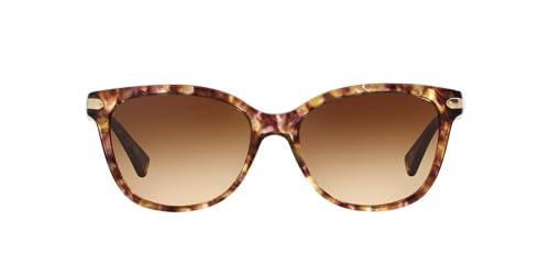 Image of Coach womens Hc8132 Cat Eye Sunglasses