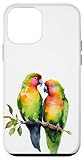 Parrot