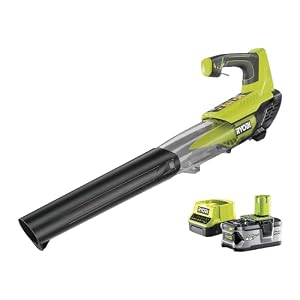 Ryobi ONE+ Akku-Laubbläser Set