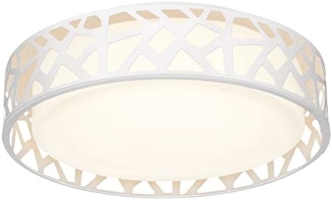 VICNIE LED Flush Mount Ceiling Light, 14 Inch Dimmable Round Lighting Fixture, 20W 1400 Lumens 3000K Warm White, ETL Listed for Kitchen, Hallway, Bedroom, Stairways (Metal Body and Acrylic Shade)