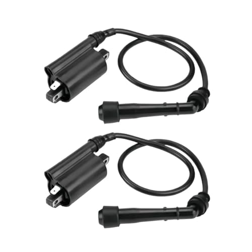 Bobine d'allumage haute tension pour rénovation moteur EX500 500R