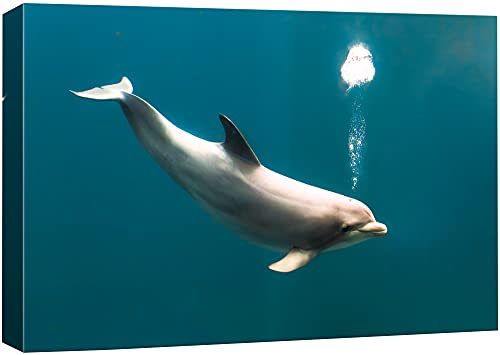 SIGNFORD Canvas Print Wall Art Large Gray Dolphin Dives Deep
