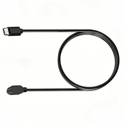 ���K�l�p 100cm Type C �[�d�R�[�h ���������ڑ����C���[�P�[�u���t��