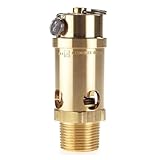 Safety Valve, Soft Seat, 1 In, 150 PSI