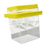 Leefasy Yellow Floating Fish Breeder Box, Lightweight Aquarium Fish Incubator, Hatchery Box for Baby Fishes, Shrimp, Fry, Guppy, Medaka, Betta, Clownfish