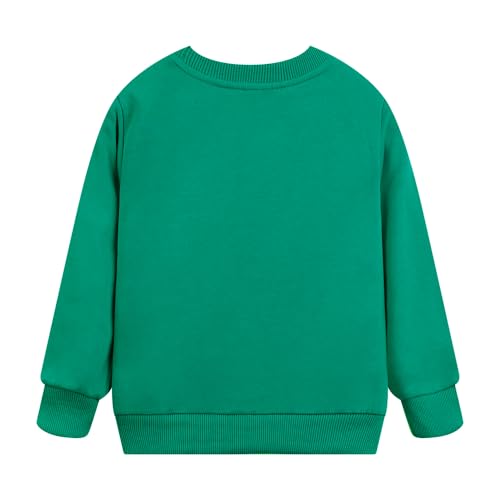 Image of Popshion Toddler Boys Sweatshirts Dinosaur Long Sleeve Pullover Crewneck Shirts Cartoon Tee Sport Tops for Kids 1-8T