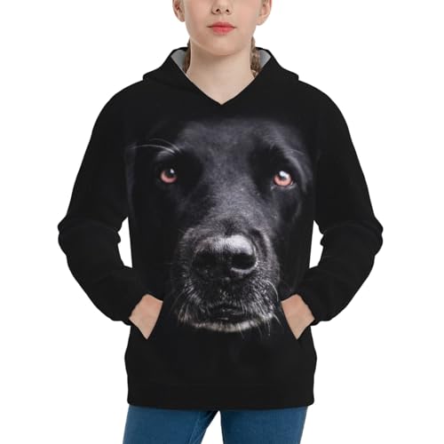 Black Labrador Boy, Girls Sports Shirt Youth Pullover Fashion Hooded Sweatshirt3
