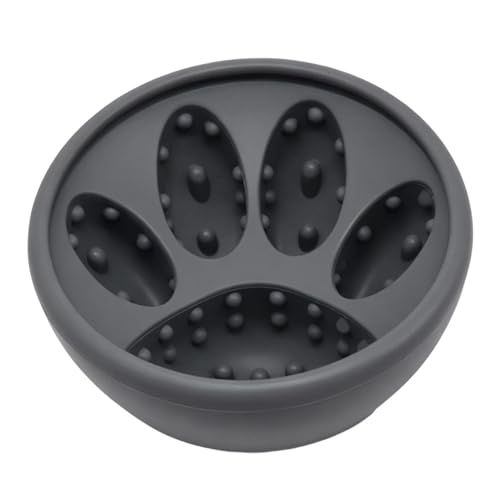 Gamelles à lécher pour chiens : puzzle interactif et tapis anti-glouton