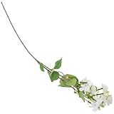 Style champêtre frais : avec le comme thème, il apporte une atmosphère fraîche et naturelle, ajoutant une touche romantique aux scènes de mariage, à la décoration et à la décoration de table