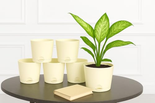 Image of Maxx Plast 5 Inch Self Watering Pots | Set of 5 Decorative Plastic Planters for Indoor & Outdoor Plants | Durable, Lightweight & Colorful Flower Pots - Just ₹299 (Ivory)