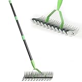 Thatch Rake for Lawns, Dead Grass Dethatcher Rake Removal Tool Heavy Duty Long Handle 54 inch, 13 inch Wide 11 Tines Manual Lawn Thatcher for Loosening Soil in Yard Garden