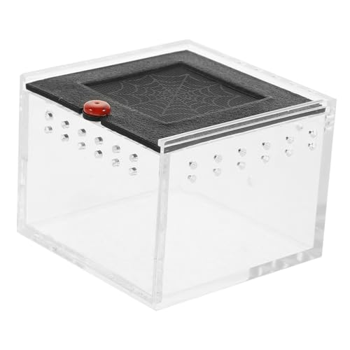 BESPORTBLE エンクロージャ ケージ ヤモリテラリウム リモコンスパイダー ナナフシの囲い 鮮明に見える爬虫類ブリーダーボックス 爬虫類飼育ケース ペットのクモ用の透明な観察ボックス アクリル
