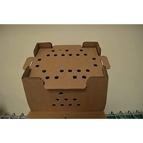 Duncans Poultry 10 - Baby Chick Shipping Boxes. Hold 25 Chicks. Cover