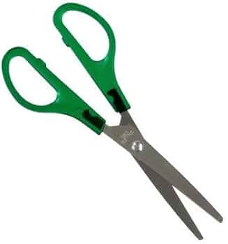 31T66yZ-ExL._AC_UF350,