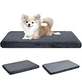 EMPSIGN Stylish Dog...image