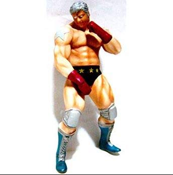 Amazon.co.jp: CCP マスキュラーコレクション Vol.EX テリーマン