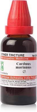 Dr Willmar Schwabe India Carduus Marianus Q 30ML (Pack of 2)