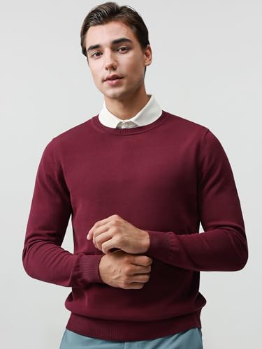 Pure BCI Cotton Lightweight Sweater for Men Crewneck T-Shirts Casual Long Sleeve Knit Pullover Fall Spring3