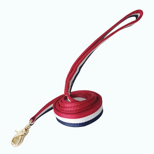 Premium Dog Leash with Luxury Style, Soft Durable Dog Leashes, Walking Training Leash for Small Medium Large Dogs Premium Dog Leash with Luxury Style, Soft Durable Dog Leashes, Walking Training Leash for Small Medium Large Dogs