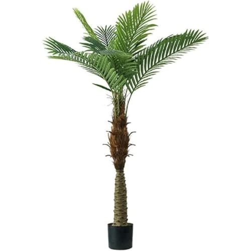 uFLYKINGvϗtA lHϗtA lHϗt lH؃_ȑq̖ؔArO[zeỦԂ̑ tFCNO[ lH lHA  (2m) [sAi]