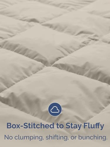 Image of Cal King Size, Brown /Beige Alternative Down Comforter - Warm, Lightweight & Breathable Hotel Quality Bedding Set for Men, Women, Kids and Teens - All Season Cooling Microfiber Duvet Insert Comforter