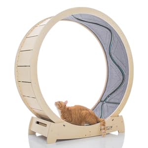 Starcat スターキャットホイール CATWH1060 の商品画像 3
