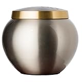 Best Friend Services Pet Urn - Memorial Cremation Pet Urns for Dog and Cat Ashes, Hand Carved Mia Series Urn for Pets up to 25 lbs (Small, Pewter, Double Brass Paws)