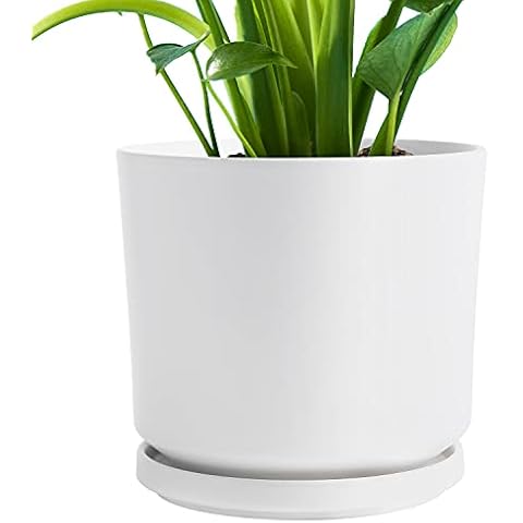 UMIAMOY Zylinderförmiger matter Keramik-Übertopf - Übertopf Cover