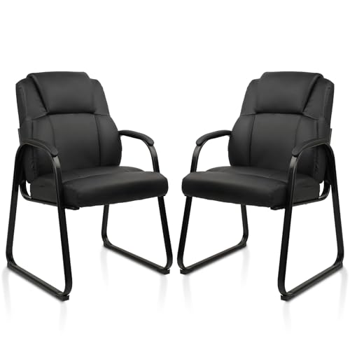 CLATINA Padded Armrest Sled Chair