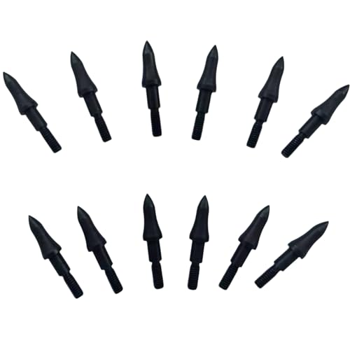 12pcs 75 Grain Field Points, 75gr Crossbow Arrow Tips for Bow and Arrow Target Practice, Screw-in Bullet Points for 5/16 Inch Arrows, Hunting Archery Target & Accessories