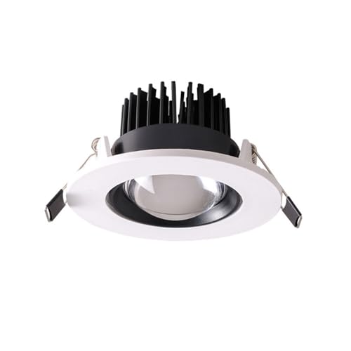 Foco LED empotrable de Techo de 8,1 cm, direional, para Interiores, con luz de Acento, 3000 K, Ideal para Sala de Estar, Arte, pasillos, etc.