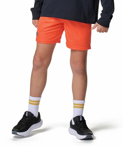 [A_[A[}[] UA Icon Mesh Shorts 6006262 (847)t@CAzCgYL